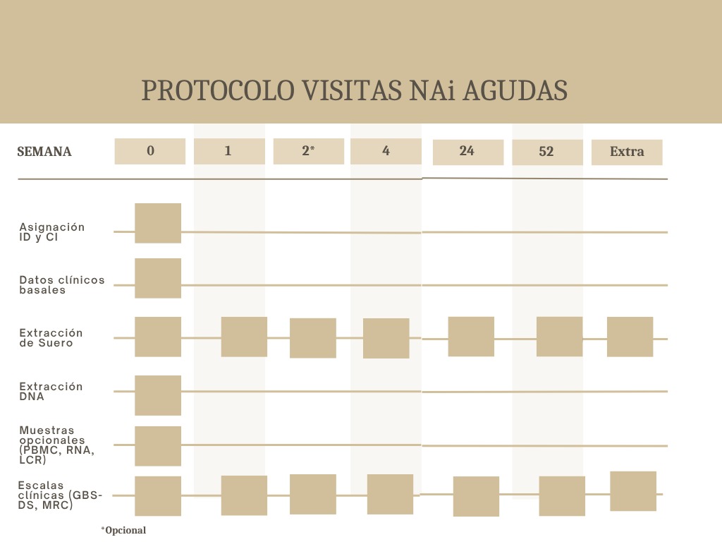 Visitas NAi Agudas.jpeg